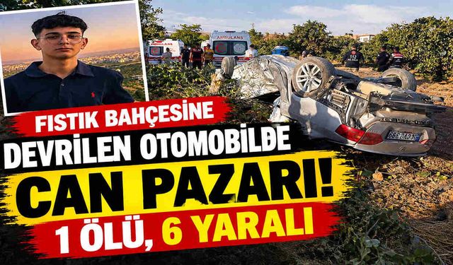 Fıstık Bahçesine Devrilen Otomobilde Can Pazarı: 1 Ölü, 6 Yaralı