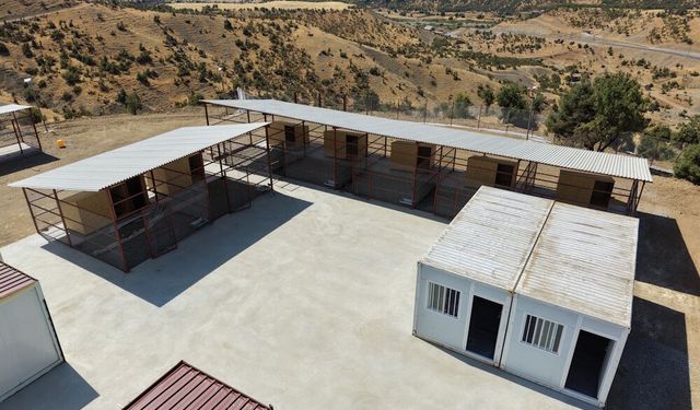 Kulp'tan Sokak Hayvanlarına 25 Bin Metrekarelik Güvenli Yuva