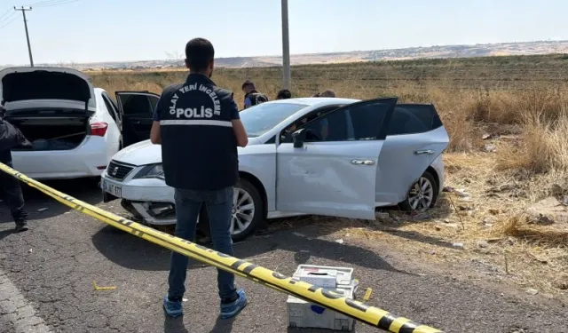 Diyarbakır’da kanlı buluşma: Eski eşlerin park görüşmesi 2 ölümle sonuçlandı