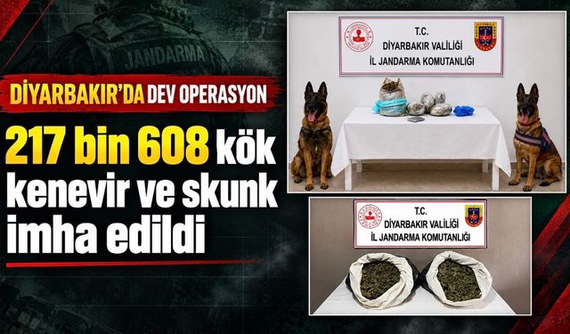 Uzaktan algılama sistemiyle tespit edildi: 99 araziye baskın