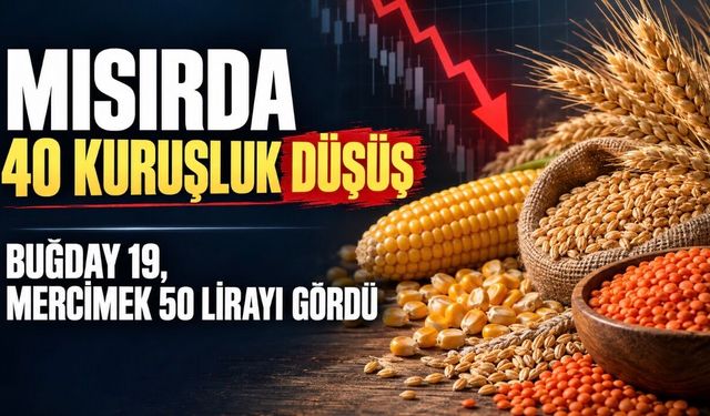 Mısırda 40 kuruşluk düşüş: buğday 19, mercimek 50 lirayı gördü