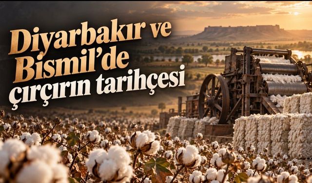 Bismil’de pamuğun sanayiye açılan kapısı; Beyaz altının çırçırla büyüyen hikâyesi