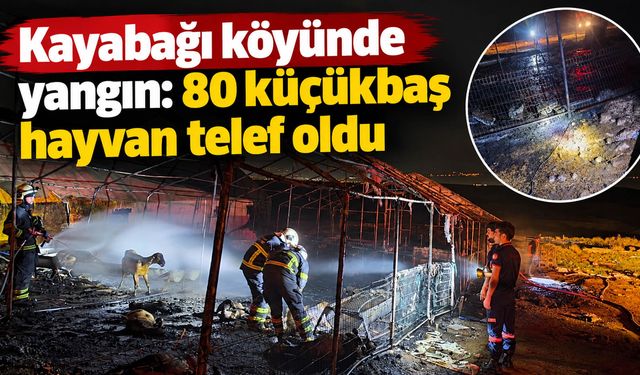 Kayabağı köyünde yangın: 80 küçükbaş hayvan telef oldu