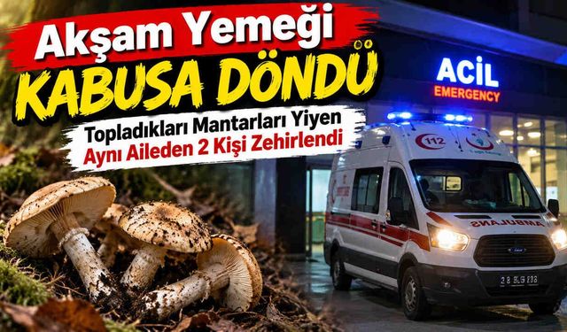 Akşam Yemeği Kabusa Döndü: Topladıkları Mantarları Yiyen Aynı Aileden 2 Kişi Zehirlendi