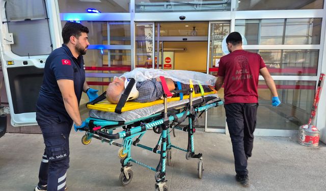 Ağaç keserken dengesini kaybetti: 70 yaşındaki adam yaralandı