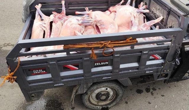 Batman’da Kaçak Kesilen 14 Küçükbaş Hayvanın Eti İmha Edildi