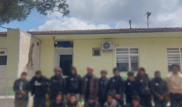 Şanlıurfa’da Jandarmadan Kaçak Göçmen Operasyonu: 68 Kişi Yakalandı