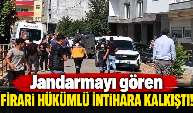 Jandarmayı gören firari hükümlü intihara kalkıştı