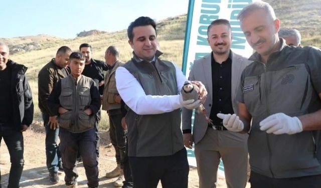 Batman’da Doğal Denge İçin 300 Keklik Doğaya Salındı