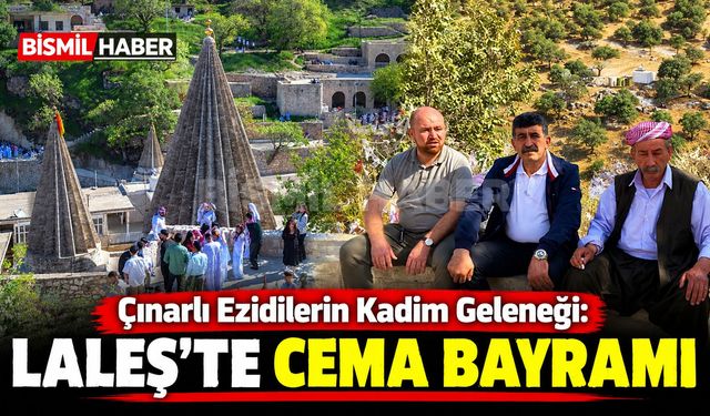 Çınarlı Ezidilerin Kadim Geleneği: Laleş'te Cema Bayramı