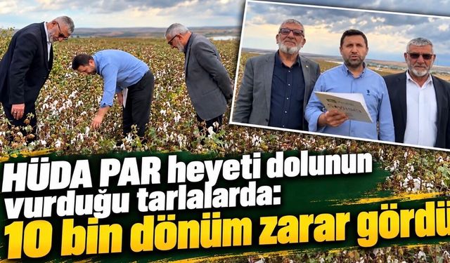 Bismil’de 10 bin dönüm arazi doludan zarar gördü