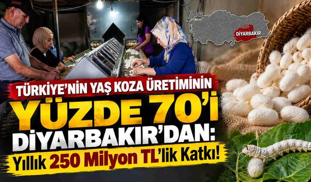 Türkiye’nin Yaş Koza Üretiminin Yüzde 70’i Diyarbakır’dan: Yıllık 250 Milyon TL’lik Katkı!