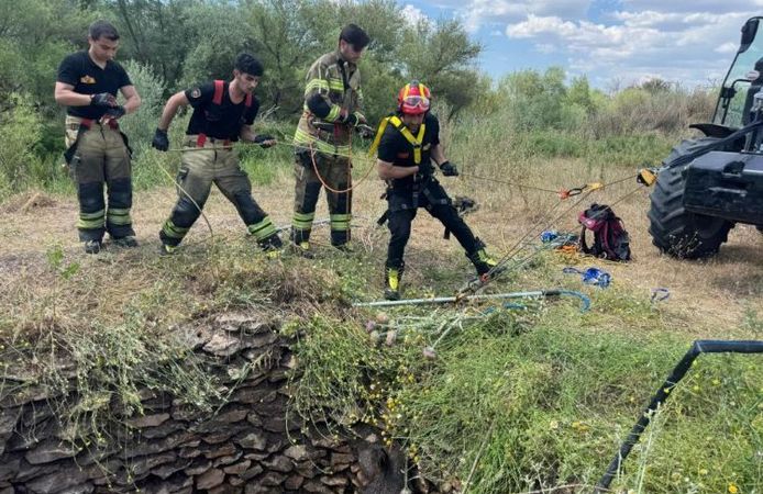 Diyarbakır Kuyuya Düşen Yaban Domuzu Kurtarıldı