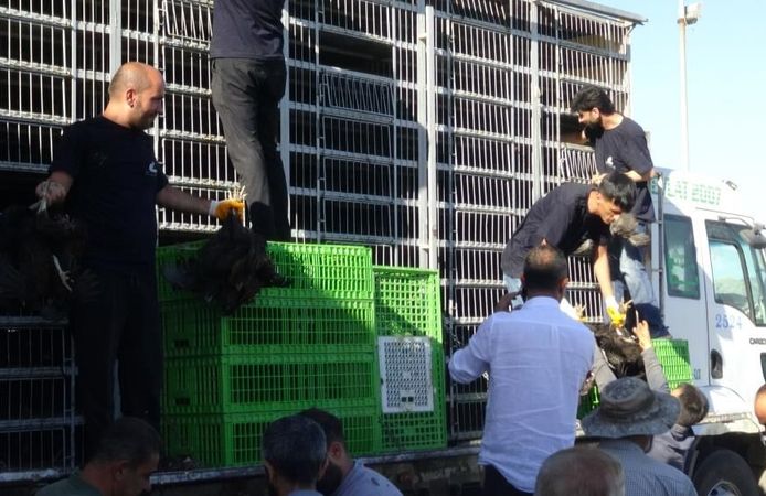 Üreticilere Kanatlı Hayvan ve Ekipman Dağıtımı Gerçekleştirildi