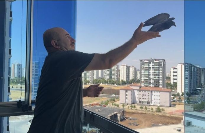 Dairenin Asma Tavan Boşluğunda Mahsur Kalan Güvercin Kurtarıldı