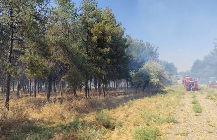 Dicle Üniversitesi Yerleşkesinde Örtü Yangını Paniği