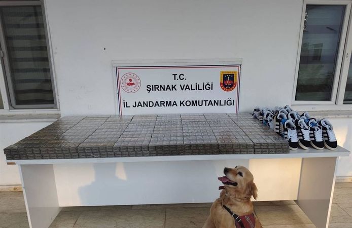 Jandarma Ekiplerinden Bir Haftalık Bilanço: 47 Şüpheli Yakalandı