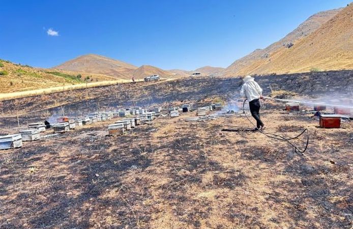 Alevlerle Mücadele Ederken Arıların Saldırısına Uğradılar