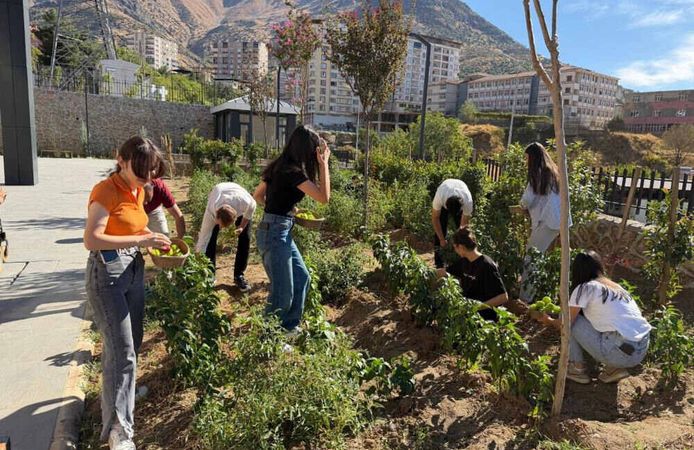 Halk Kütüphanesinde Yetiştirilen Sebzeler Ürün Verdi