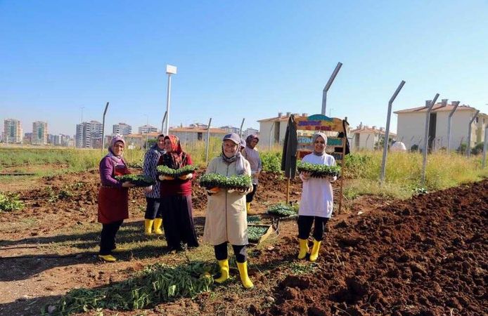 Diyarbakır’da Kadınların Yönettiği 18 Dönümlük Bostanda Yeni Dönem