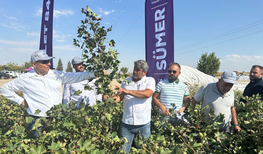 Bismil’de Pamuk Tohum Tarla günü