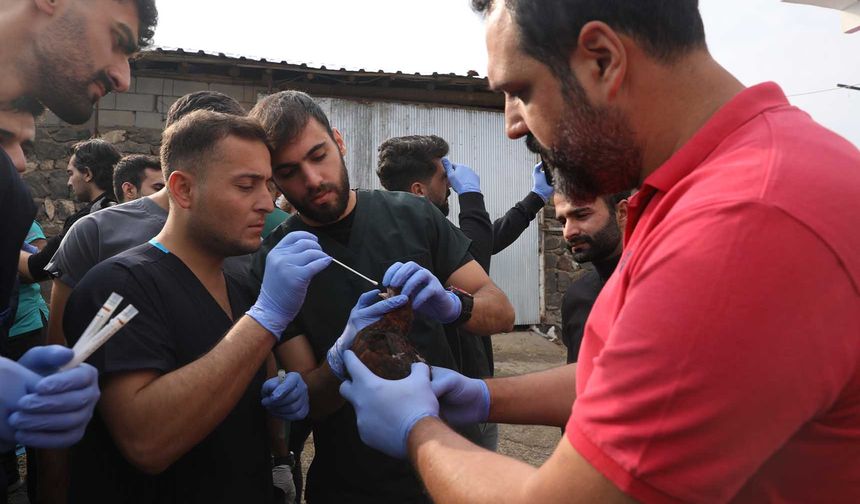 Diyarbakır’da hayvan hastalıklarına yönelik saha çalışması yapıldı