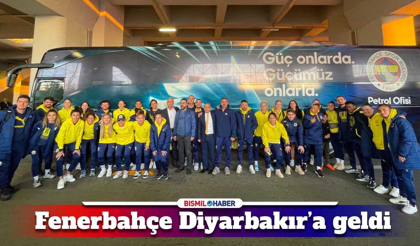 Amedspor Fenerbahçe ile karşılaşacak: Maç hangi kanalda?