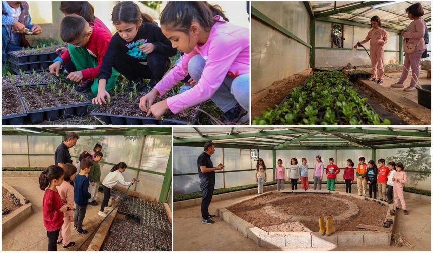 Diyarbakır'da çocuklar tıbbi ve aromatik bitkiler yetiştiriyor