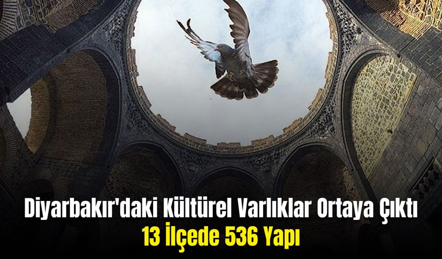 Diyarbakır'daki Kültürel Yapılar Ortaya Çıktı: Birbirinden Eşsiz Tam 536 Yapı