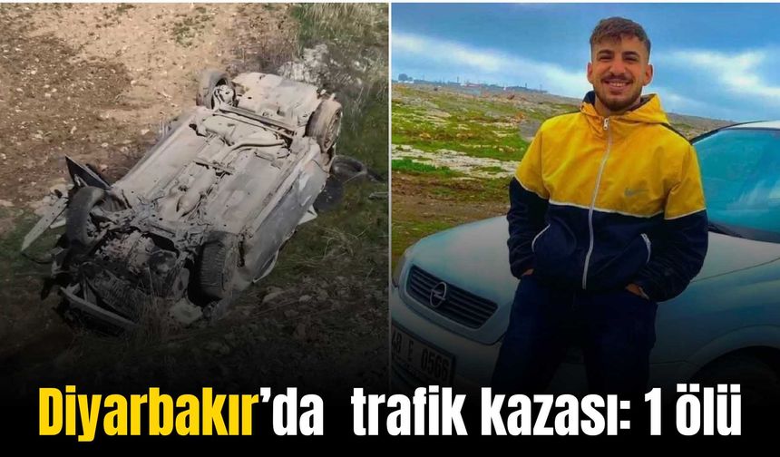 Diyarbakır’da şarampole devrilen otomobilde 1 kişi öldü