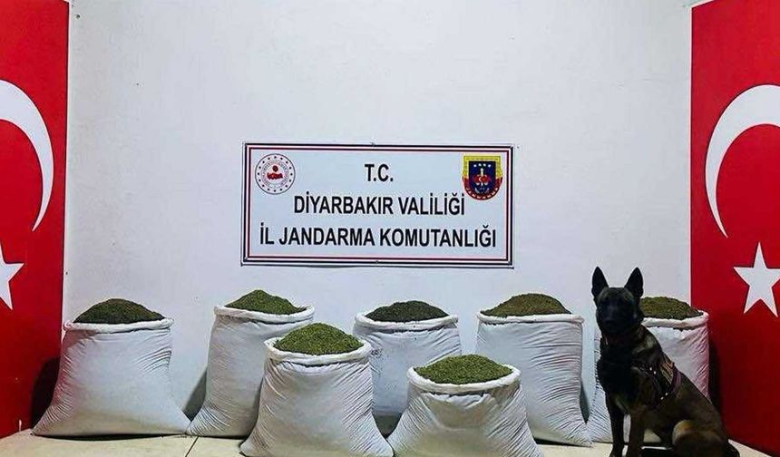 Diyarbakır’da operasyon: 2 ayrı noktada 129 kilo toz esrar ele geçirildi