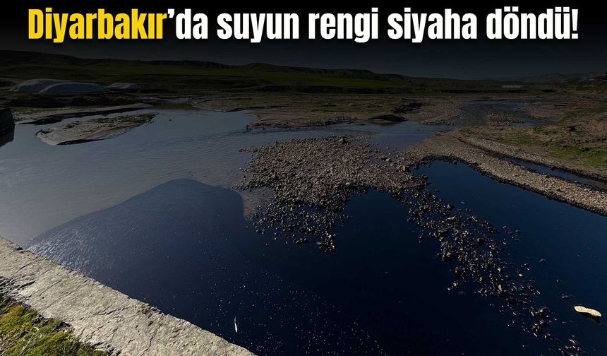 Diyarbakır’da sulama kanalına petrol karıştı