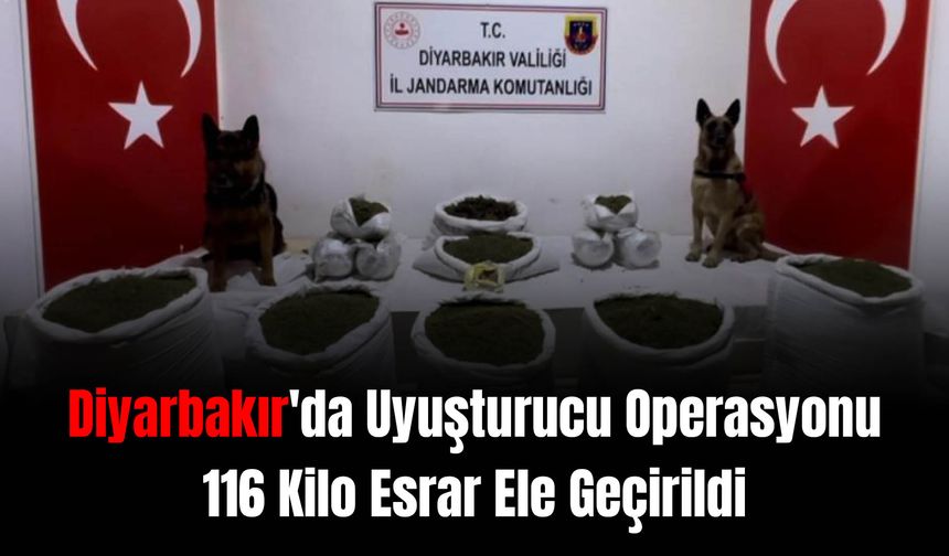 Diyarbakır'da Uyuşturucu Operasyonu: 116 Kilo Esrar Ele Geçirildi!