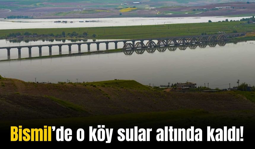 Tarihi Bismil Sinan Zilek Köprüsü suya gömüldü