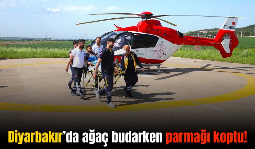 Diyarbakır'da ağaç budarken parmağı kopan genç ambulans helikopterle hastaneye ulaştırıldı
