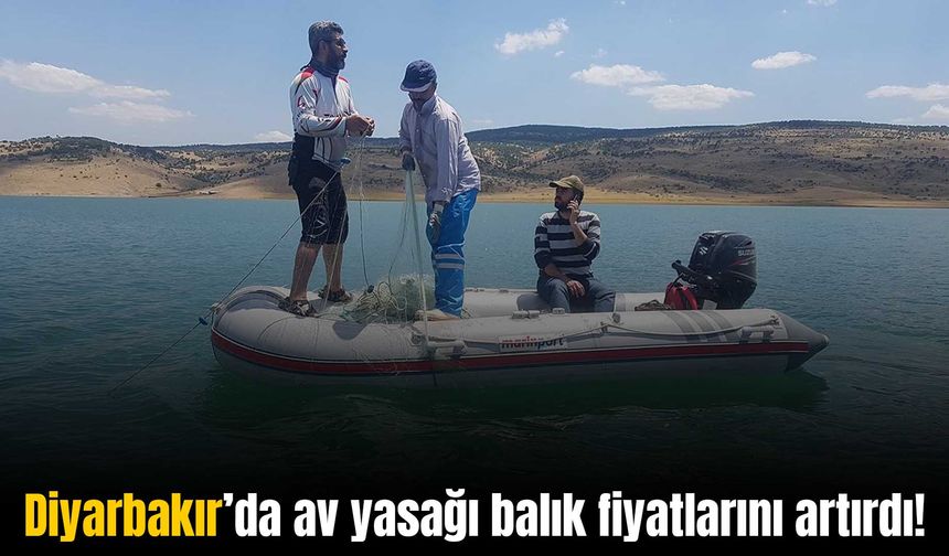 Diyarbakır’da av yasağı nedeniyle balık fiyatları uçtu!