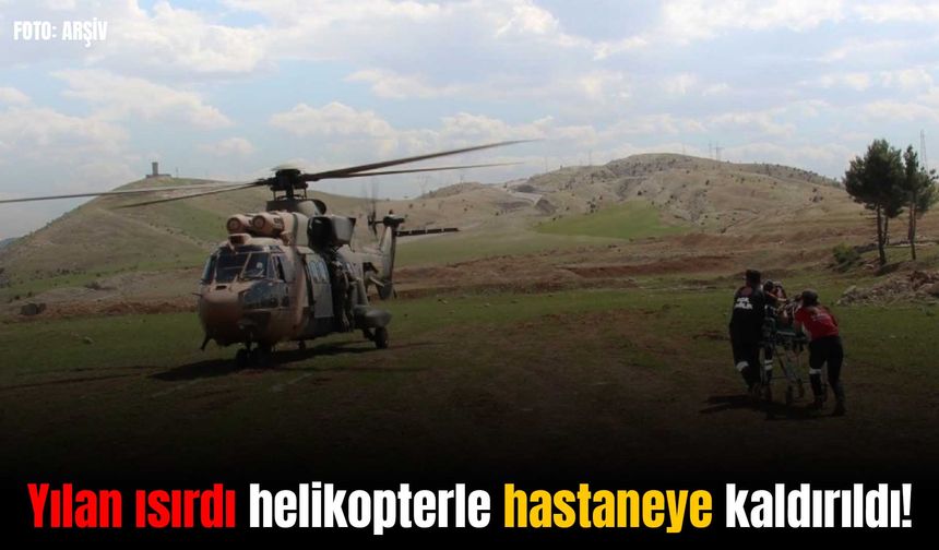 Batman'da Mereto Dağı'nda yılanın ısırdığı şahıs için askeri helikopter havalandı