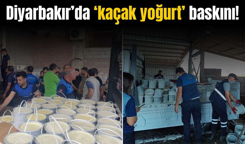 Diyarbakır’da 355 kova yoğurt imha edildi, 146 bin TL ceza kesildi!