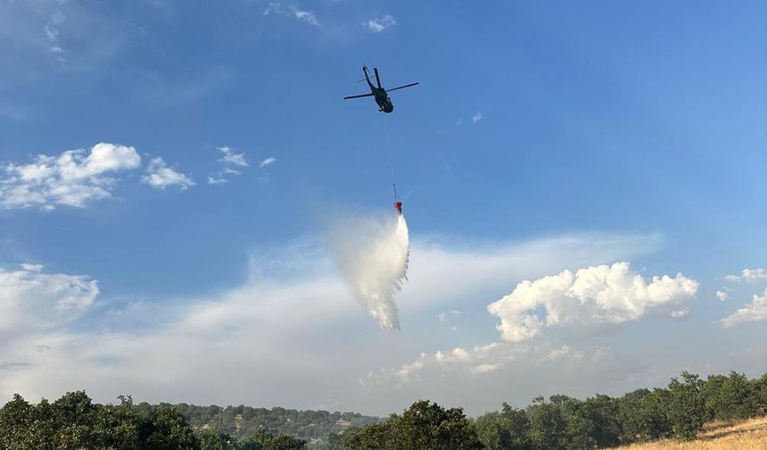 Lice ve Dicle ilçesinde çıkan orman yangınları kontrol altına alındı