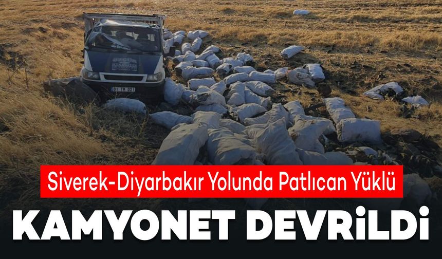 Siverek-Diyarbakır Yolunda Patlıcan Yüklü Kamyonet Devrildi