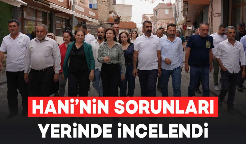 Diyarbakır Hani’nin Sorunları Yerinde İncelendi