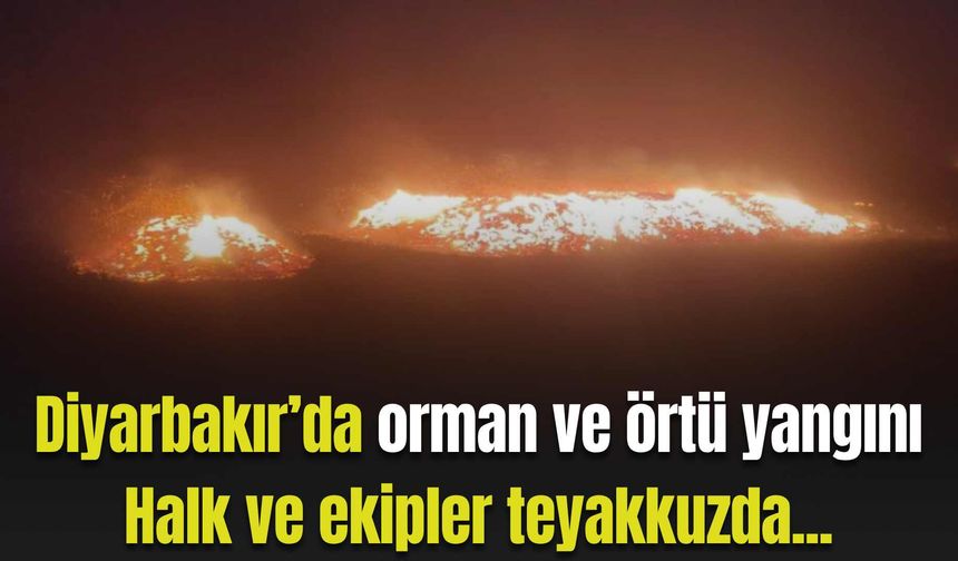 Diyarbakır’da orman ve örtü yangını