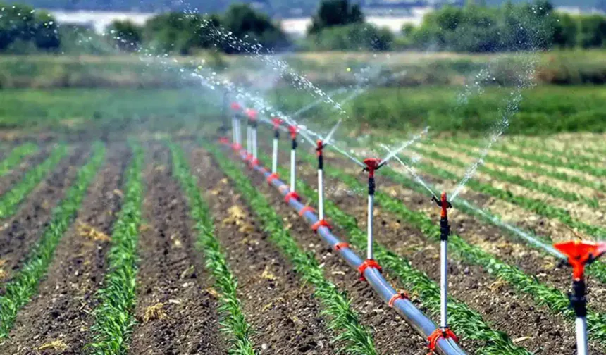 Bakanlık Açıkladı: Destek Ödemeleri Bugün Hesaplara Yatırılıyor