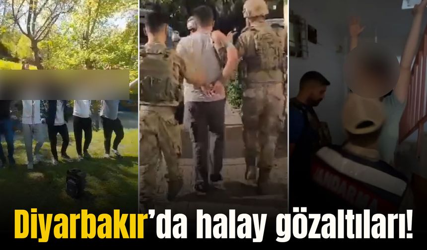 Diyarbakır’da halay gözaltıları: 5 kişi yakalandı 2 kişi aranıyor!