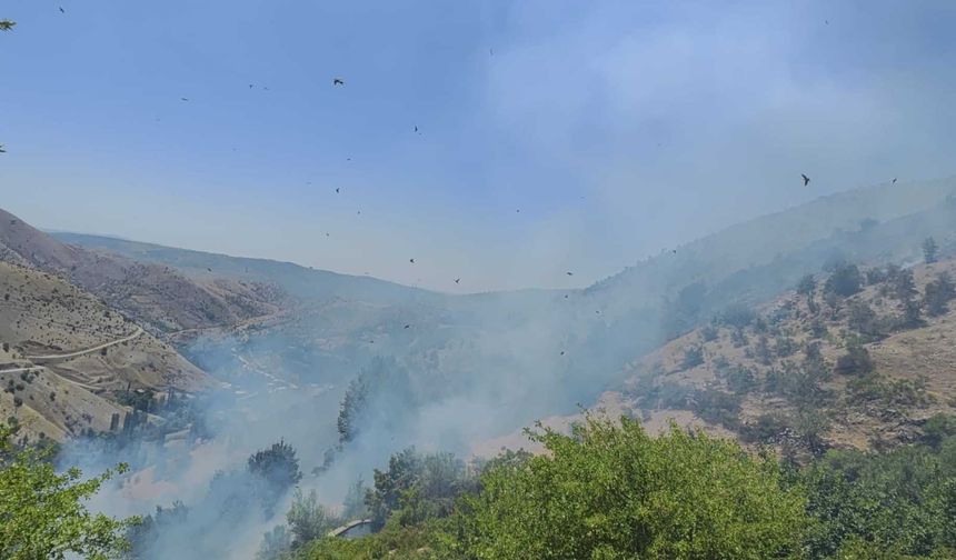 Diyarbakır'da ormanlık alanda çıkan yangına müdahale sürüyor