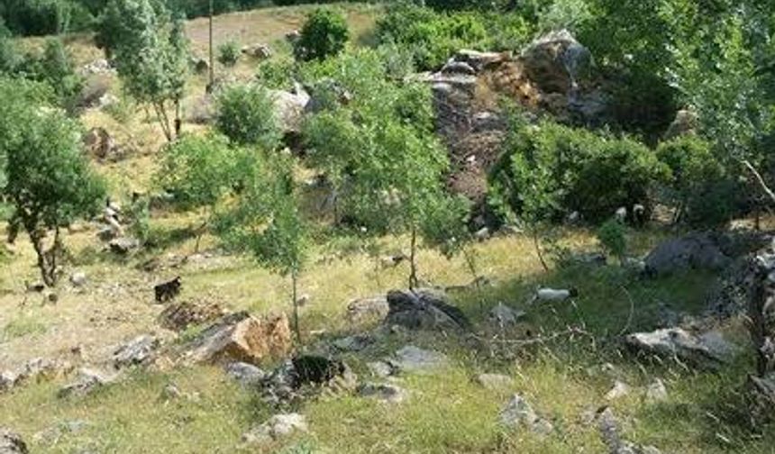 Diyarbakır’da Kulp ilçesi, Yaylak Mahallesi; 4 mezrada “Güvenlik Bölgesi” ilan edildi