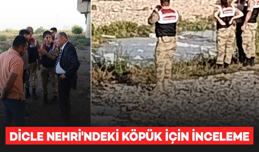 Bismil’de Dicle Nehri’ndeki köpüklenmeye ilişkin 2 koldan inceleme başlatıldı