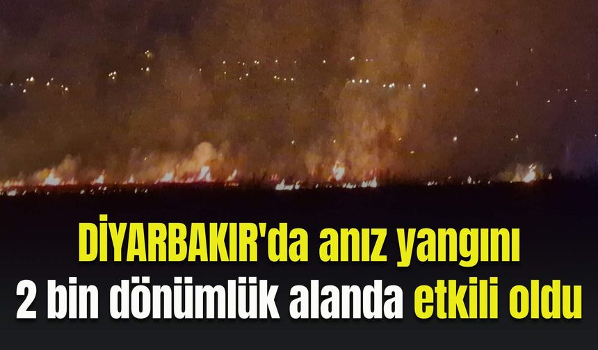 Diyarbakır'da anız yangını 2 bin dönümlük alanda etkili oldu