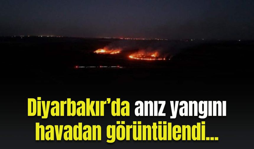 Diyarbakır’da anız yangını havadan görüntülendi