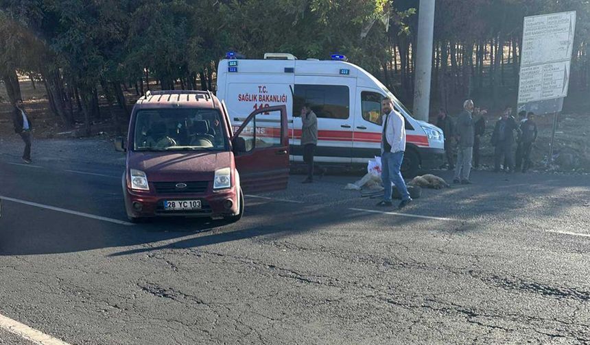 Diyarbakır’da hafif ticari araçlar çarpıştı: 2 yaralı